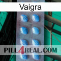 Vaigra viagra3